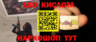 гидра Тара