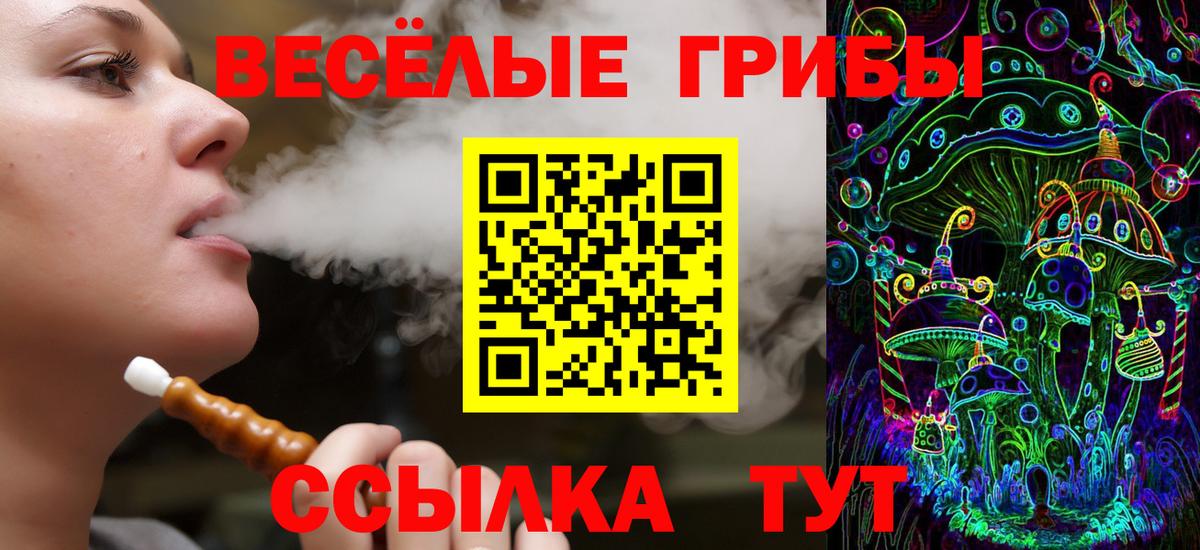 Галлюциногенные грибы прущие грибы  закладки  Вход с VPN  Михайловск  Псилоцибиновые грибы мицелий 