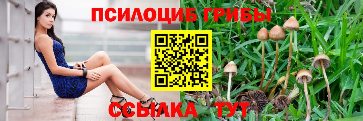 Псилоцибиновые грибы Magic Shrooms Михайловск